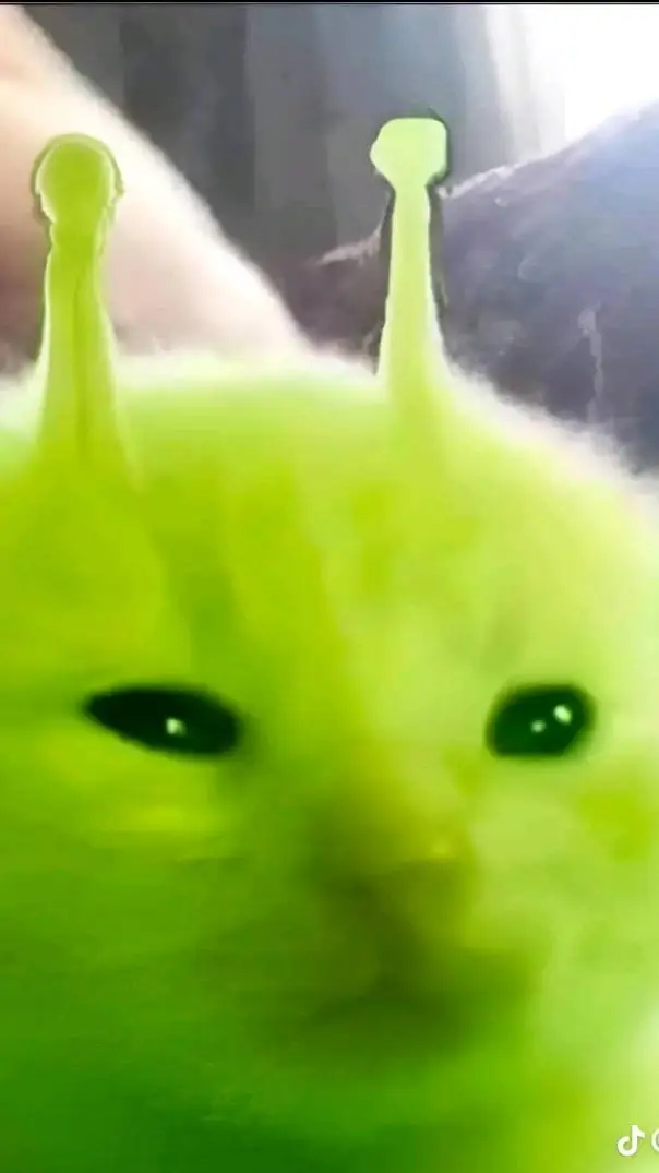 ai character: ALIEN CAT SHIMI AH background