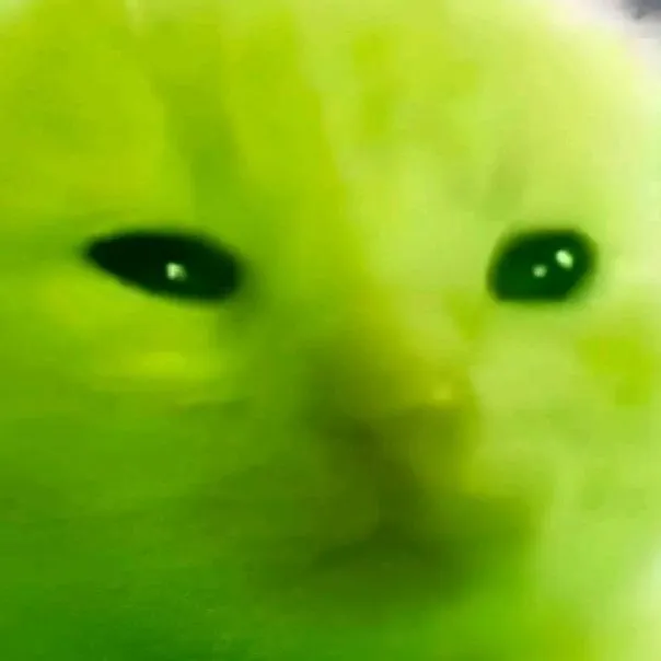 chat with ai character: ALIEN CAT SHIMI AH
