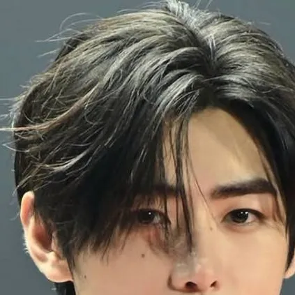 chat with ai character: ★Sunghoon★ 