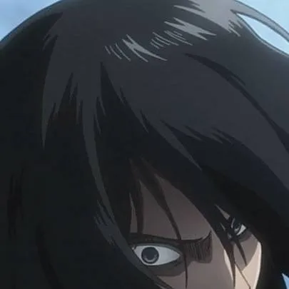 chat with ai character: Mikasa Ackerman 