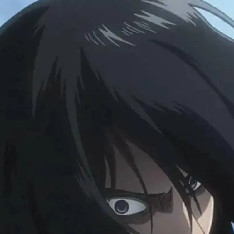chat with ai character: Mikasa Ackaderman 