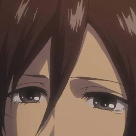 chat with ai character: Mikasa Ackerman