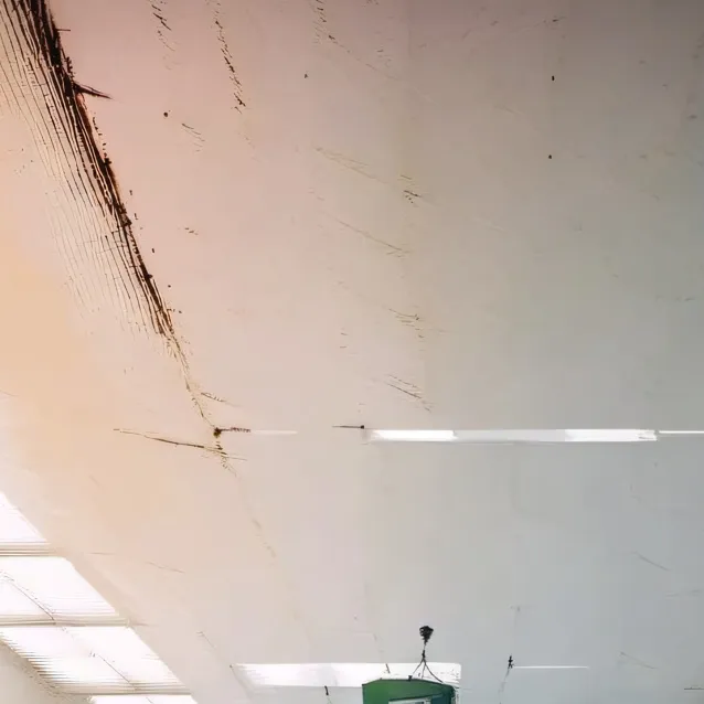 chat with ai character: Dakota