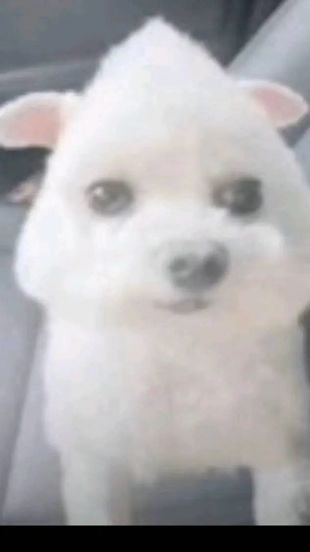 ai character: SPOOKY MONTH background