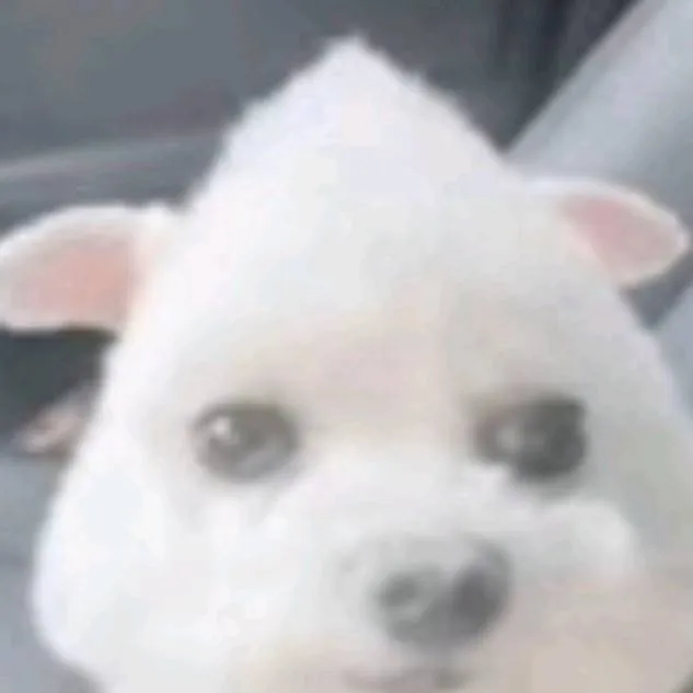 chat with ai character: SPOOKY MONTH