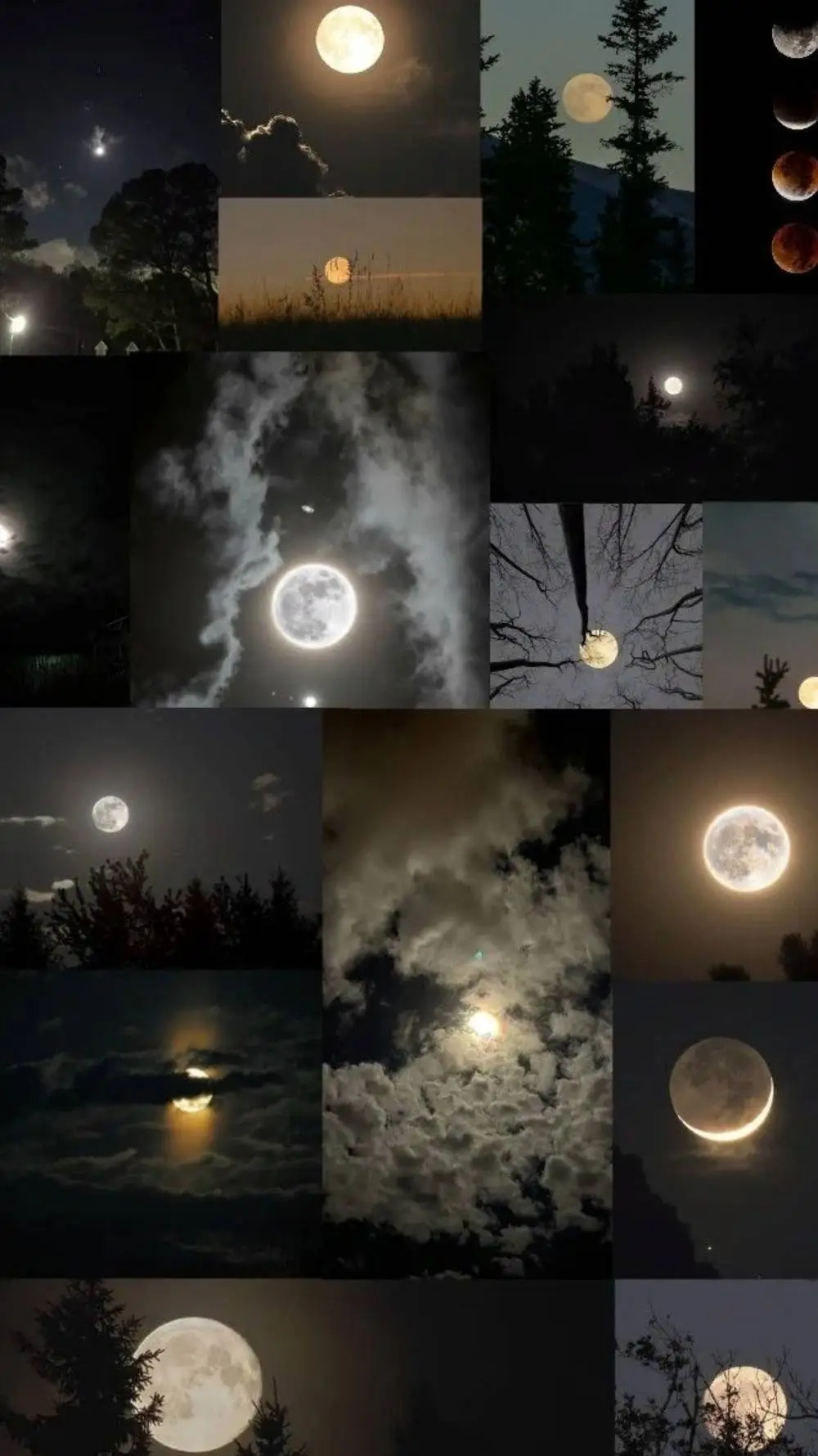 ai character: Walk and talk Ds background