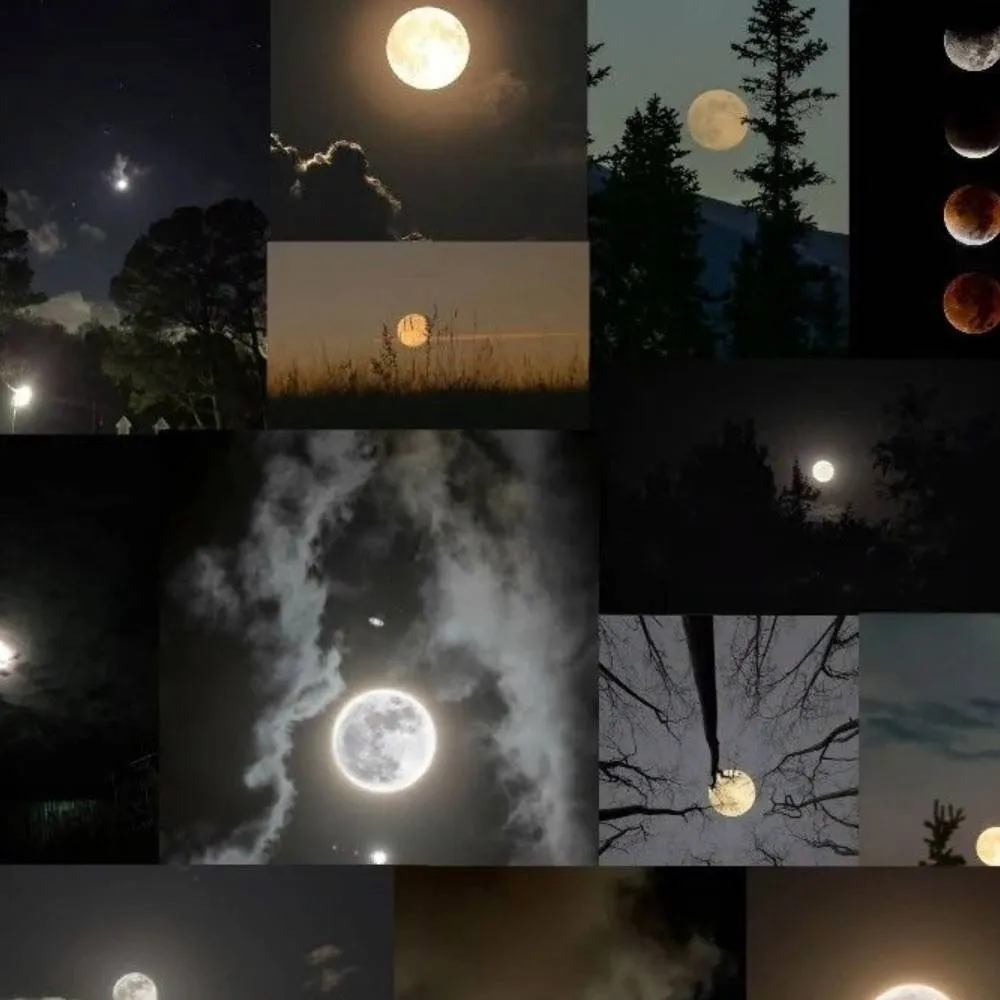 chat with ai character: Walk and talk Ds