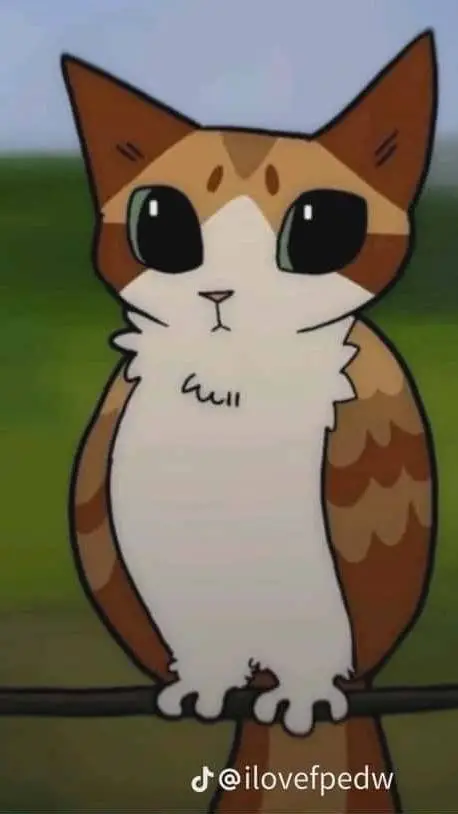 ai character: meowle  background