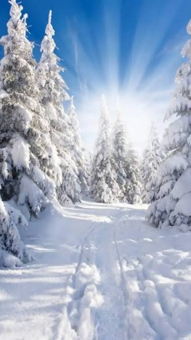 ai character: answer background