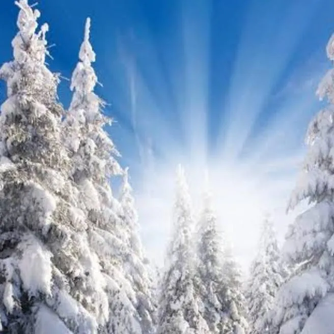 chat with ai character: answer