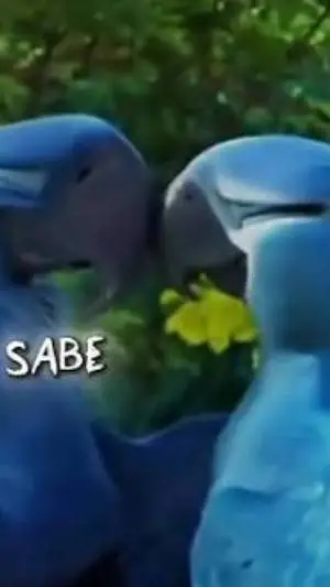 ai character: río x perla background