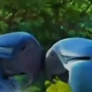 chat with ai character: río x perla