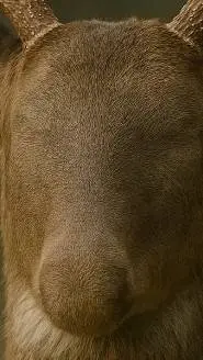 ai character: faceless deer background