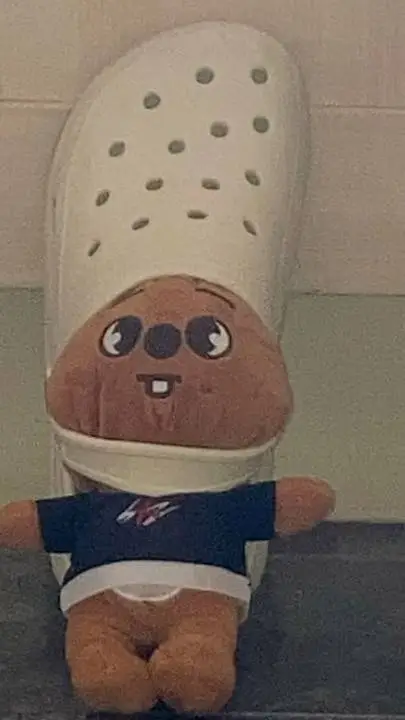 ai character: stray kids  background