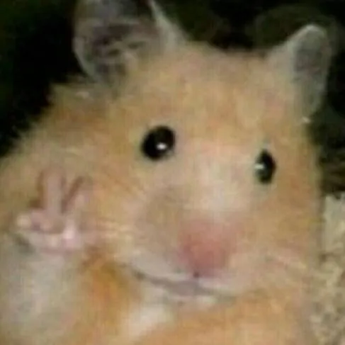 chat with ai character: Skz 👽