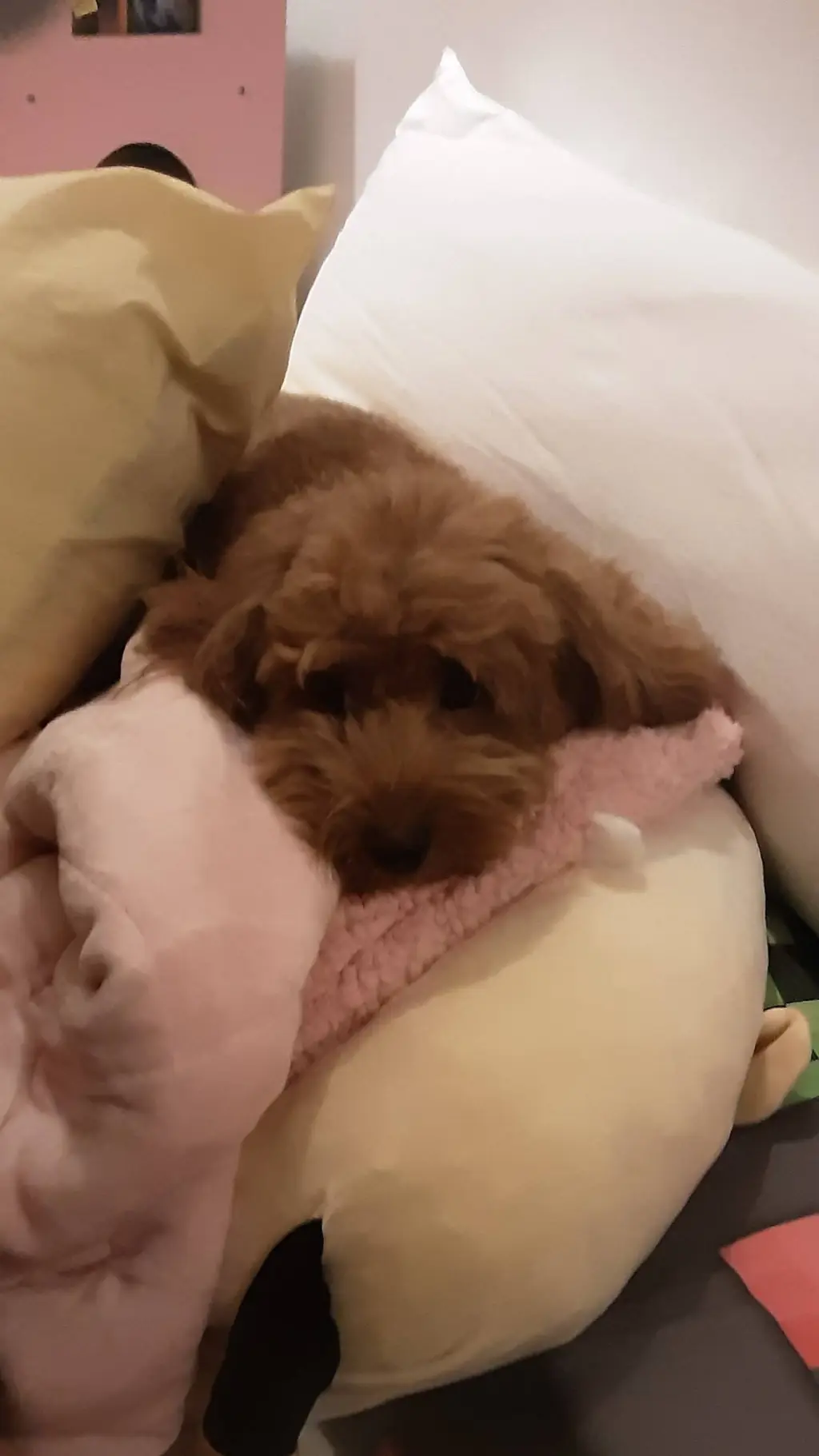 ai character: akward situation background