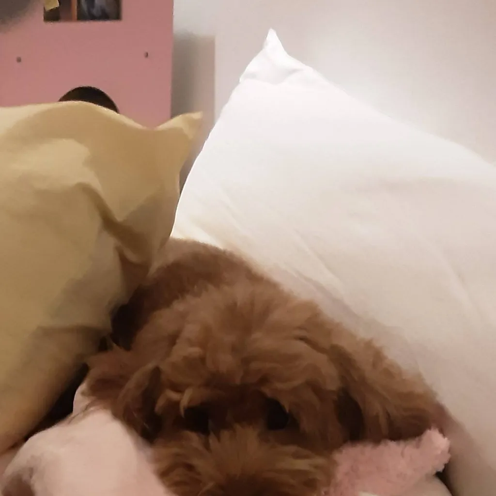 chat with ai character: akward situation