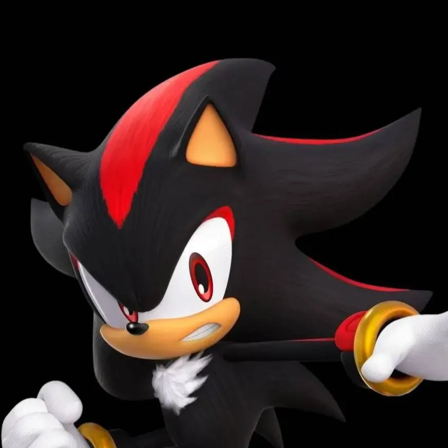 chat with ai character: Shadow T. Hedgehog