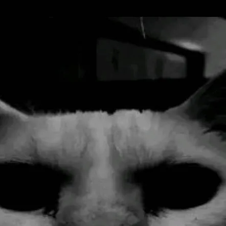 chat with ai character: ....