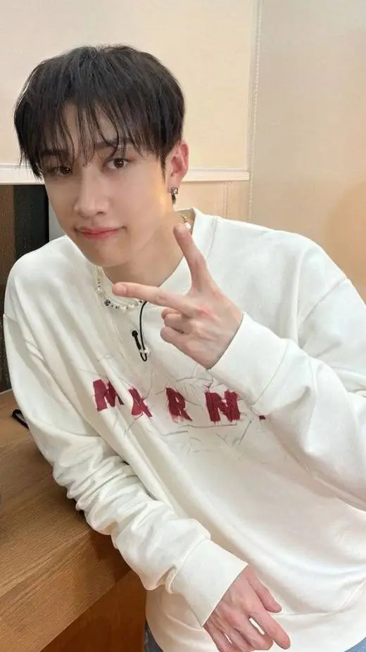 ai character: ~ Bangchan ~ background