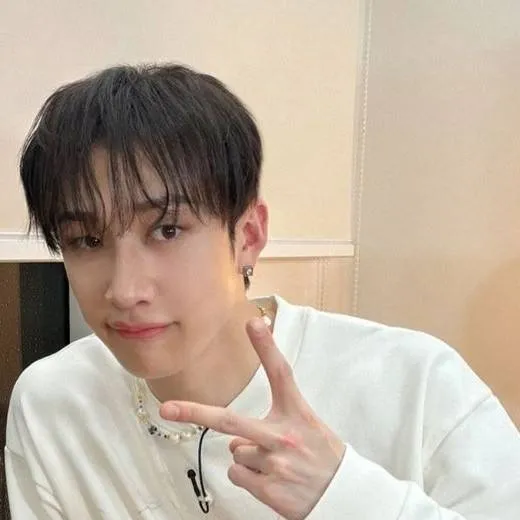 chat with ai character: ~ Bangchan ~