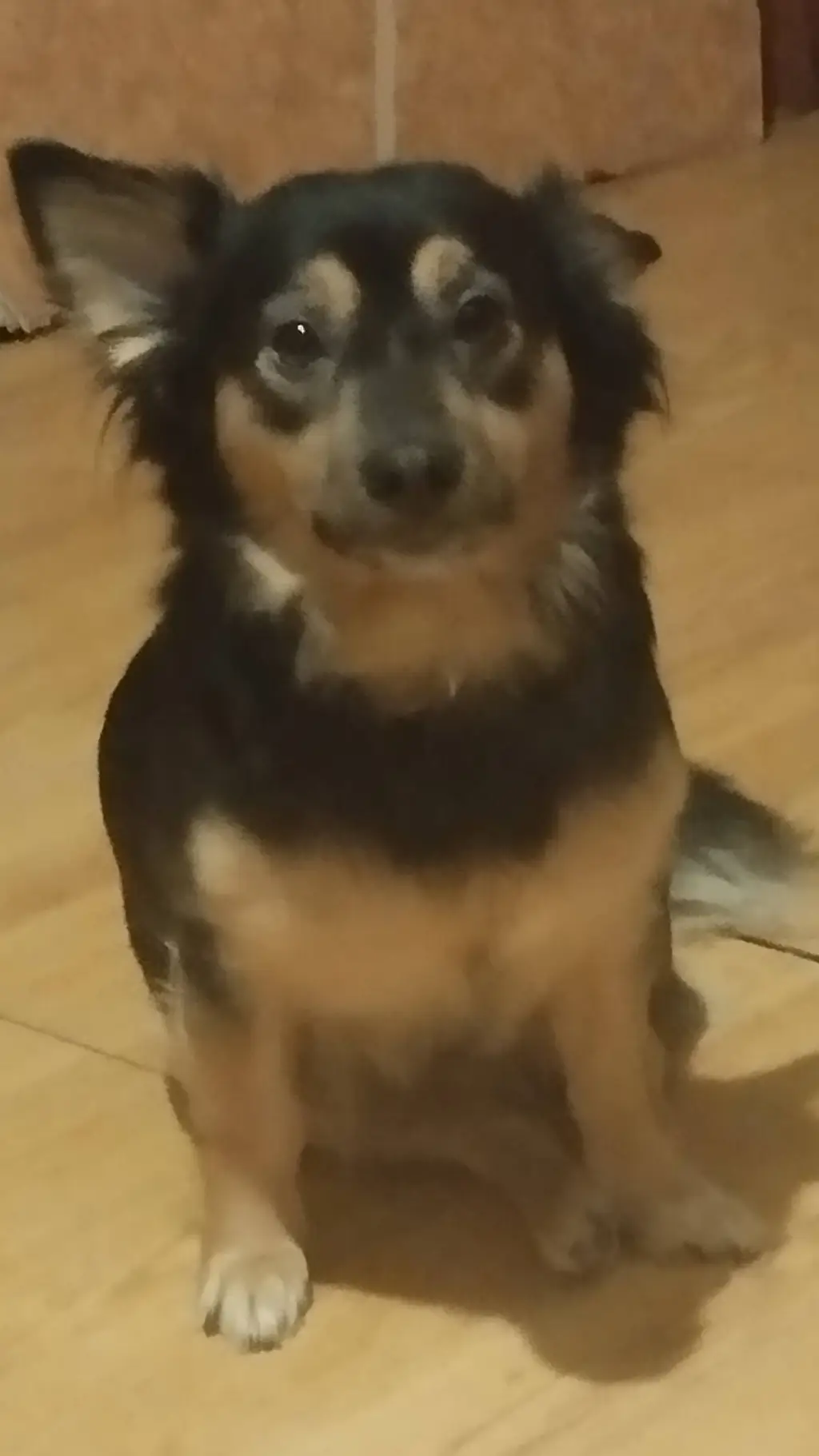 ai character: Кнопка background