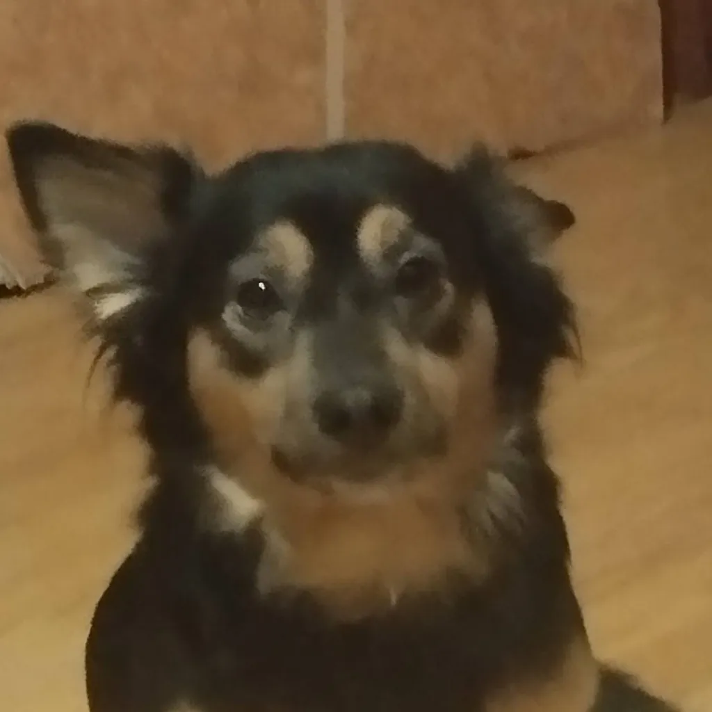 chat with ai character: Кнопка