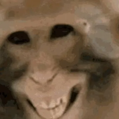 chat with ai character: Haha