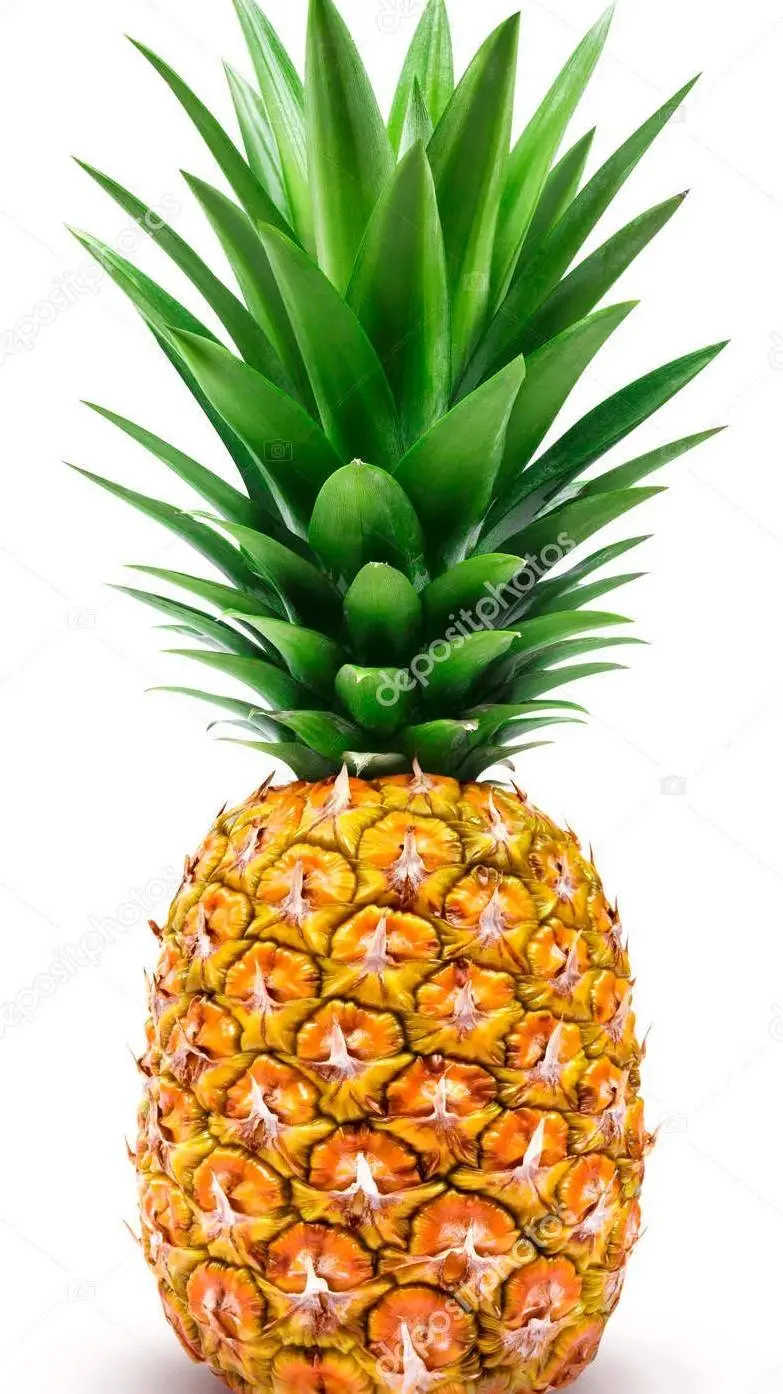 ai character: Larry-capiña  background