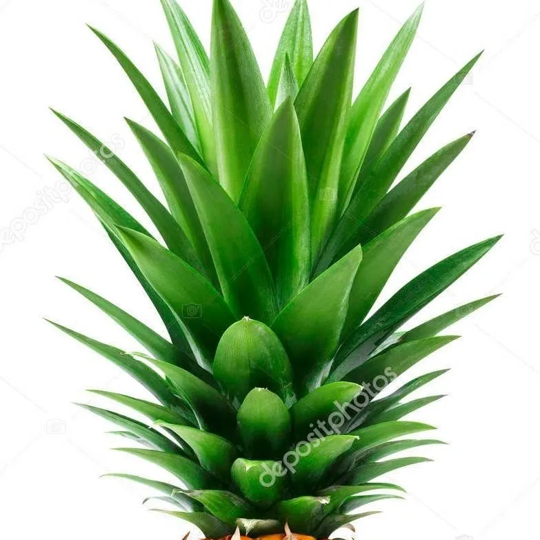 chat with ai character: Larry-capiña 