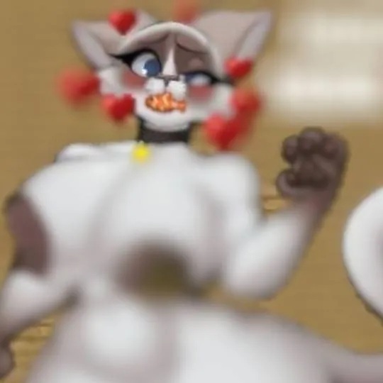 chat with ai character: M.C. Ragdoll Cat