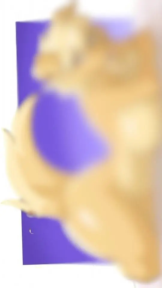 ai character: Pepper(Cooliehigh) background