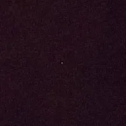 chat with ai character: Meganium 