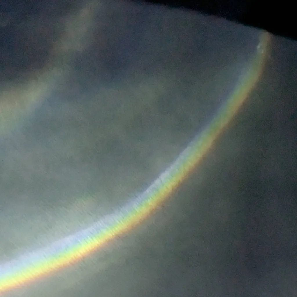 chat with ai character: "~noah~"