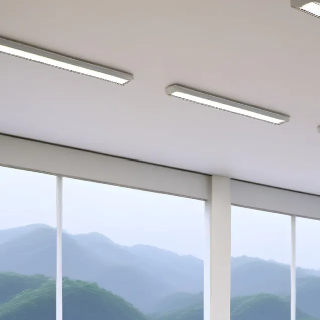 chat with ai character: Druzed Academy 