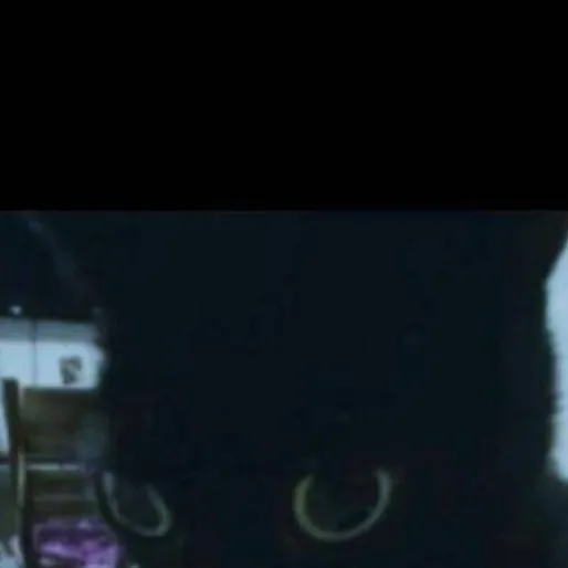chat with ai character: meow 🫶🩶🖤