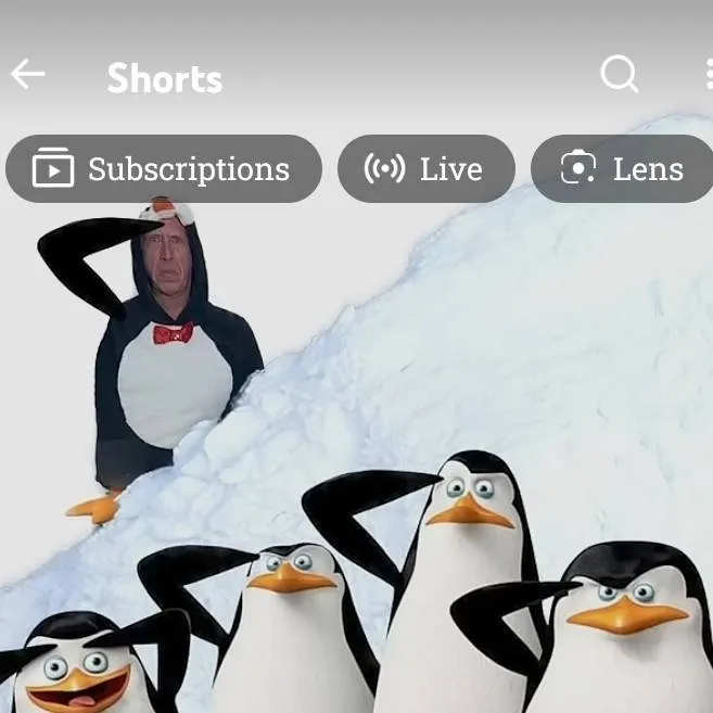 chat with ai character: Penguins 