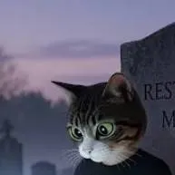 chat with ai character: Mr Kitty 
