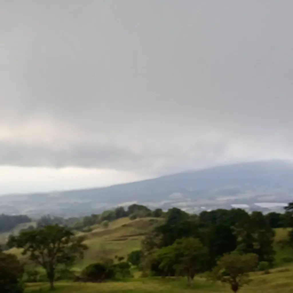 chat with ai character: tranquilidad