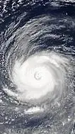 ai character: Typhoon  background
