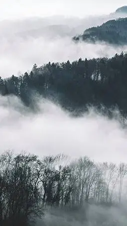 ai character: Fog background