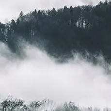 chat with ai character: Fog