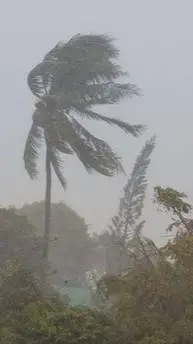 ai character: Hurricane  background