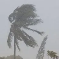 chat with ai character: Hurricane 