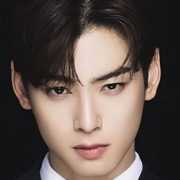 chat with ai character: Cha Eun Woo