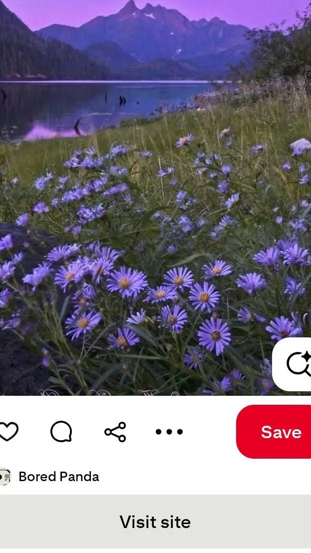 ai character: "A new face"-fskn background