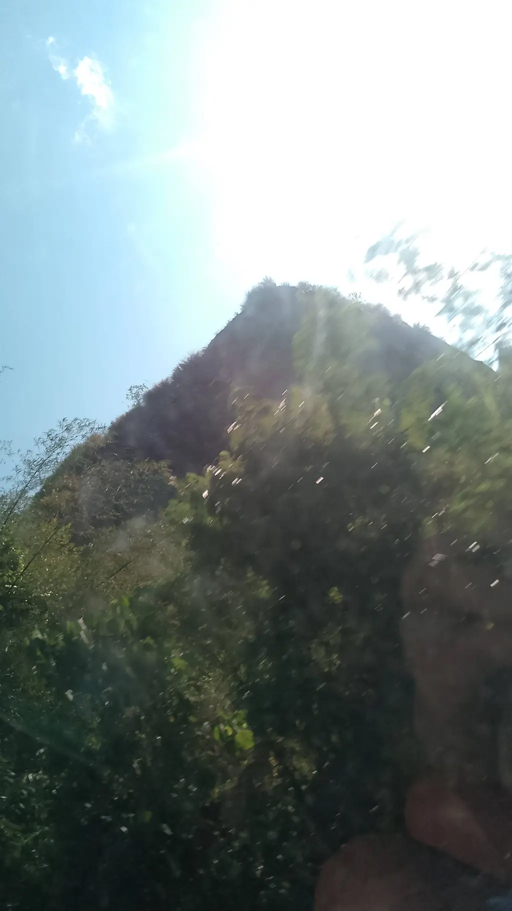 ai character: Nature background