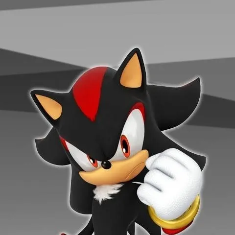 chat with ai character: Shadow T Hedgehog 