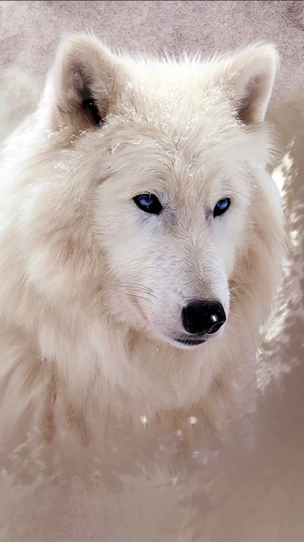 ai character: Female wolf mom background