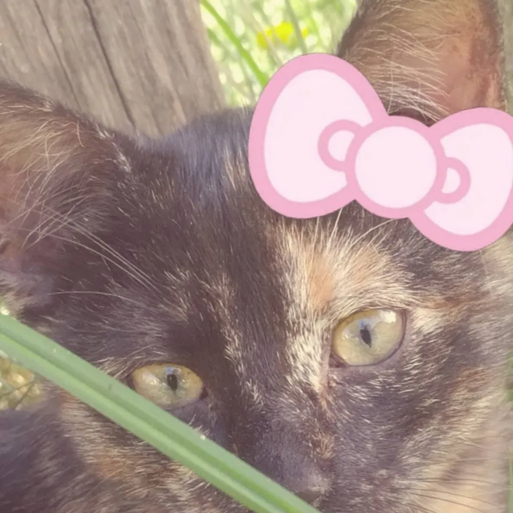 chat with ai character: Hyunjin